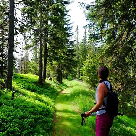 Hikers Paradise With Wellness Area Apartament Eberstein